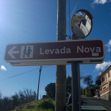 Rib Brava Garden Apartment Ribeira Brava Εξωτερικό φωτογραφία