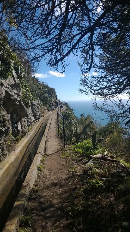 Rib Brava Garden Apartment Ribeira Brava Εξωτερικό φωτογραφία